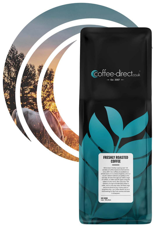 Buckaroo Coffee
