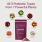 38TERA DMN Daily Microbiome Nutrition | Plant-Based Fiber Powder with 3 Prebiotics, Low FODMAP, Vegan, Wild Berry