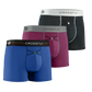 3-pack: IKON X Men's 3" Trunks - PlumGrey + Italia + Black
