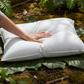 Bamboo Pillow (Eucalyptus & Bamboo)