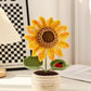 Large Sunflower