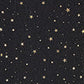 Yumi Black Mesh Star Print Long Sleeve Top