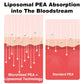 Liposomal Palmitoylethanolamide (PEA) 1000 mg + Luteolin 100 mg | Micronized 99% Purity | 360 Softgels