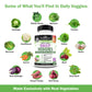 BioSchwartz Daily Fruits & Veggies – 47 Whole Foods, 2-Pack (360 Capsules) for Women & Men