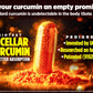 Biotest Micellar Curcumin – 95x Absorption, UCLA-Invented & Patented, 60 Capsules