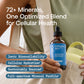 BodyBio ReMineralize - Concentrated Ionic Trace Minerals for Hydration (4 Fl Oz)