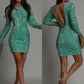 Women's Fashionable Fitted Long Sleeve Dress