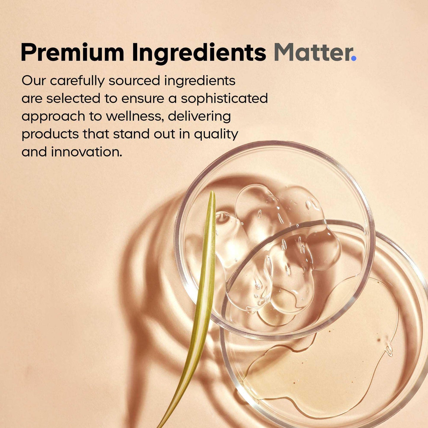 Codeage SBO Probiotics: 100 Billion CFUs, 6 Strains, Organic Fermented Botanicals, Shelf-Stable, 90 Capsules