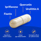 CogniSHIELD Brain Health Supplement – 60 Count | Synergistic Support for Focus & Clarity