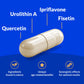 CogniSHIELD Brain Health Supplement – 60 Count | Synergistic Support for Focus & Clarity