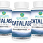 Best Earth Naturals Catalase 10,000 Hair Supplement – 3-Pack (90-Day Supply)