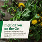 Floradix Iron + Herbs – Vegan Liquid Iron for Energy Support (120 Phyto-Caps)