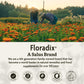 Floradix Iron + Herbs – Vegan Liquid Iron for Energy Support (120 Phyto-Caps)