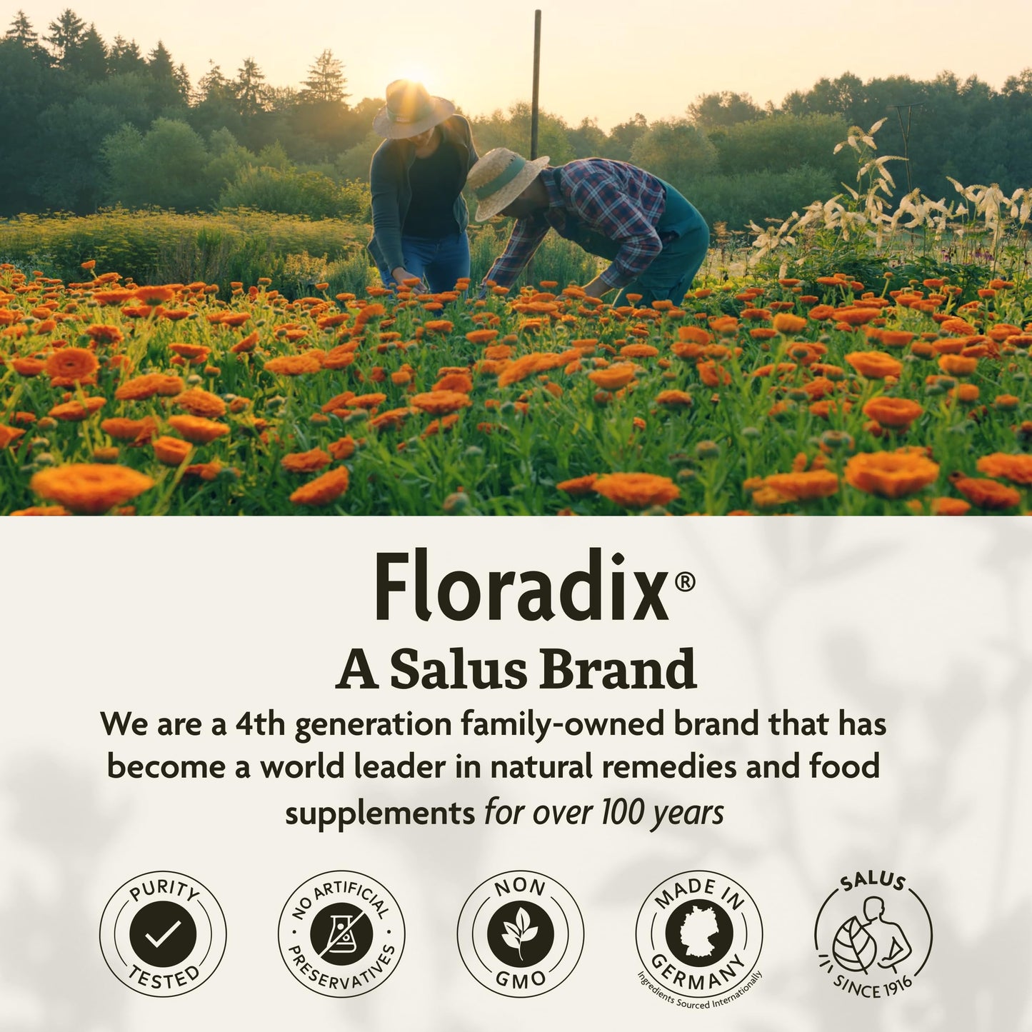 Floradix Iron + Herbs – Vegan Liquid Iron for Energy Support (120 Phyto-Caps)
