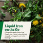 Floradix Iron + Herbs – Vegan Liquid Iron for Energy Support (120 Phyto-Caps)