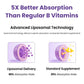 Franguly Liposomal Vitamin B Complex Liquid | High Absorption B-Complex