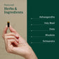 GAIA HERBS PRO Daytime HPA — Adaptogen & Nervous System Support (120 Liquid Phyto-Caps)