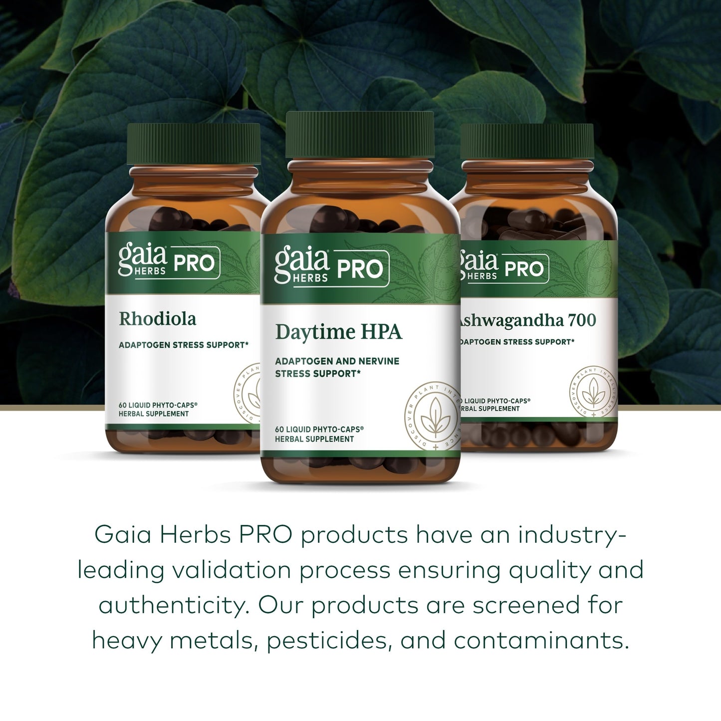 GAIA HERBS PRO Daytime HPA — Adaptogen & Nervous System Support (120 Liquid Phyto-Caps)