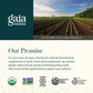 Gaia Herbs Prostate Health - Supports Prostate Function with Saw Palmetto, Green Tea, Nettle Root & White Sage - 120 Vegan Liquid Phyto-Caps (60 Servings)