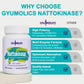 Gyumolics Nattokinase 10000FU – Organic Enzyme Blend for Movement Comfort, 180 Capsules