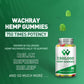 WACHRAY Nutrition: 3 Packs Organic Hemp Gummies – 7.5M High Strength Hemp Oil Infused, 240 Gummies per Bottle