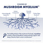 Host Defense Agarikon Capsules – Immune Support Mushroom Supplement – 120 Capsules