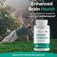 Dr Brad Stanfield Daily Low Dose MultiVitamin & Mineral for Brain Health, Skin Hydration & Exercise Support – 150 Count