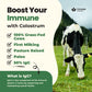 ImmergeHealth Super Colostrum Powder – Grass-Fed, 50% IgG for Gut & Vitality