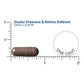 Dr. Whitaker Ocular Pressure & Retina Defense | Supports Eye Pressure, Circulation & Retina Health (30 Caps)
