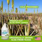 Land Art Organic Aloe Vera Drinkable Gel – 99.7% Pure, Cold-Processed, Digestive Support (64 oz x 2)
