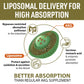 AJAXERRUE Liposomal Calcium AKG 1500 MG | Energy, Longevity & Metabolic Support | 180 Softgels
