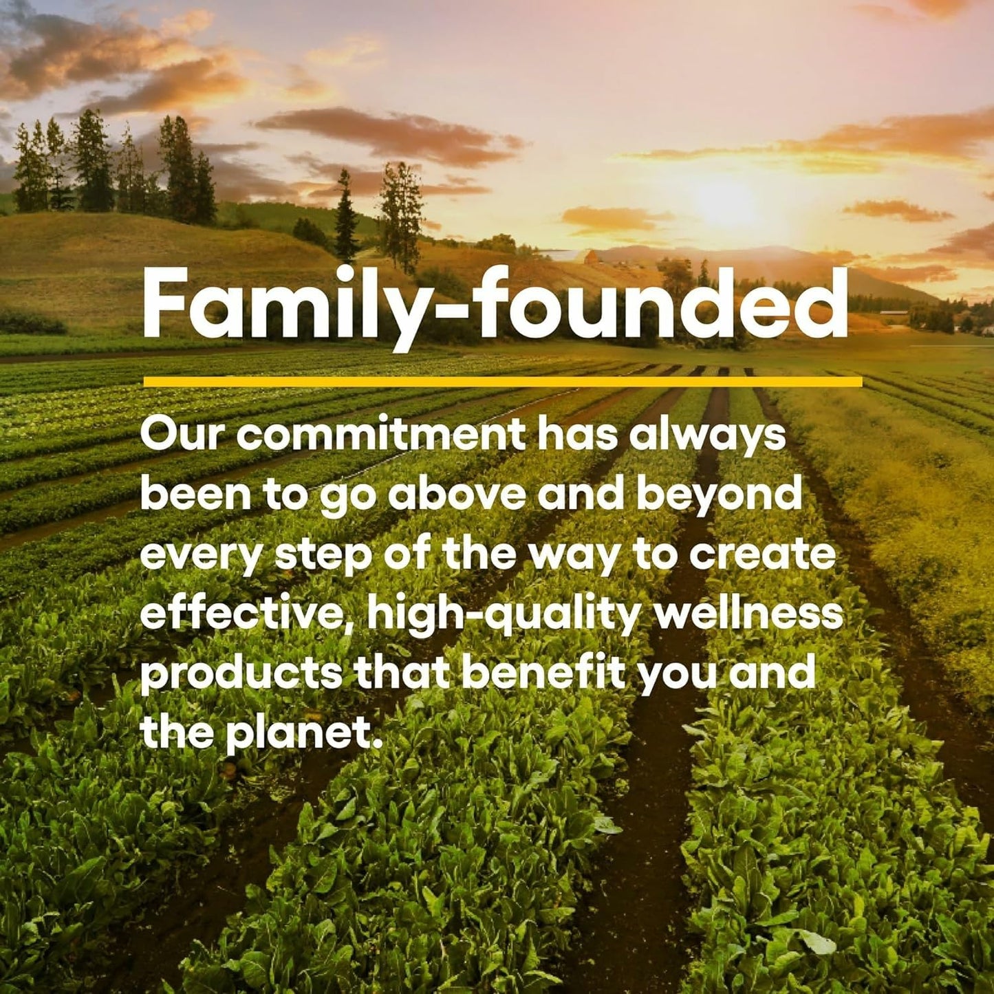 Natural Factors Quercetin Lipomicel Matrix — Immune & Capillary Support