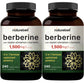 NatureBell Berberine 1500mg with Cinnamon & Turmeric – 2 Pack Veggie Capsules | 97% Pure Berberine HCl