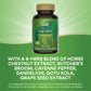 Nature's Way Leg Veins – 6-Herb Vegan Formula with Horse Chestnut, 120 Capsules (2-Pack)