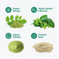 Nello Supergreens Premium Greens Drink Mix – Chlorella, Moringa, Probiotics, Spinach & Broccoli (Sour Watermelon, 20 Servings)