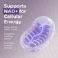 Neurogan NMN Supplement Capsules – 500 mg NMN, 120 Ct | Brain Focus & Cellular Energy