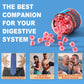 Nextdia Butyrate Gummies with Probiotics, Prebiotics & Omega-3 – Sugar Free