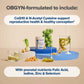 O Positiv Prego Conception Support Capsules – OBGYN-Formulated Prenatal Vitamins with CoQ10 & N-Acetyl Cysteine | 60 Ct