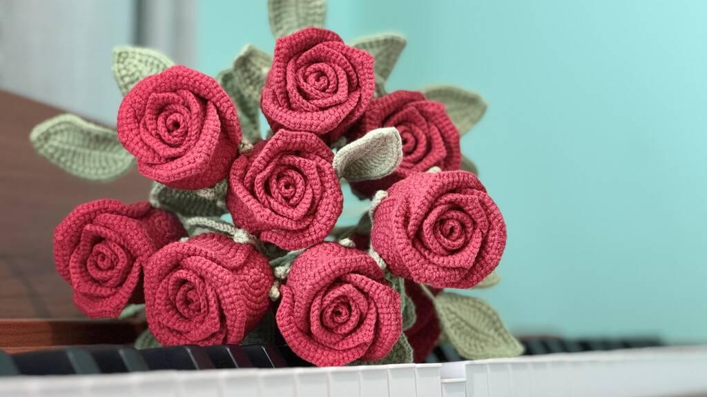 Enchanting Rose
