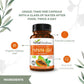 Herbal Goodness Papaya Leaf Extract – 10X Strength, 60/600mg Veg Capsules