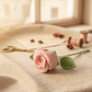 Enchanting Rose
