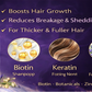 Ammuri Biotin Shampoo - DHT Blocker for Thicker Hair Growth Treatment 473ml Set Of 2