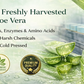 Ammuri Organic Aloe Vera Gel 300g – Pure, Alcohol-Free Gel for Face, Body & Hair