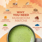 RYZE Superfoods Ultimate Energy Bundle – USDA Organic Mushroom Coffee, Mushroom Matcha & Probiotic Creamer