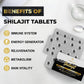 Santegra 30,000 mg Shilajit Tablets – 100% Pure Himalayan Shilajit Resin, Fulvic Acid & 85+ Minerals, 480 Count