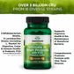 Swanson Dr. Stephen Langer's Formula — 16-Strain Probiotic with Prebiotic FOS, 3.2B CFU per Capsule (60 Veggie Caps) • 4 Pack