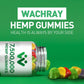 WACHRAY Nutrition: 3 Packs Organic Hemp Gummies – 7.5M High Strength Hemp Oil Infused, 240 Gummies per Bottle