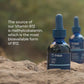 Trace Minerals Liquid Ionic B12 1000 mcg | Pack of 2 (2 fl oz each) | Full Spectrum Ionic Minerals