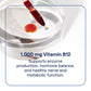 Trace Minerals Liquid Ionic B12 1000 mcg | Pack of 2 (2 fl oz each) | Full Spectrum Ionic Minerals