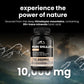 Pure Shilajit Capsules | Maximum Potency Organic Himalayan Resin – 60 Tablets